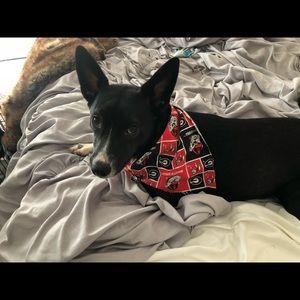 Meet your Posher, Kristin